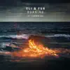 Burning (feat. Camden Cox) - Single album lyrics, reviews, download