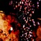 7Eanv - Al-Qaeda Slit lyrics