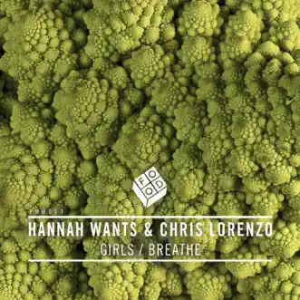 Breathe by Hannah Wants & Chris Lorenzo song reviws