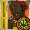 Bidlibam Skank (feat. MC Turner & Earl 16) [Reggae Mix] - Single