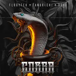 Cobra - Single by Floxytek, Tanukichi & USAO album reviews, ratings, credits