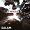 Salam artwork