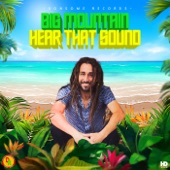 Big Mountain, Adrian Donsome Hanson - Freedom Sound Riddim