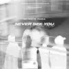 Never See You (BETASTIC Remix) [feat. Liam Sturgess] - Single album lyrics, reviews, download