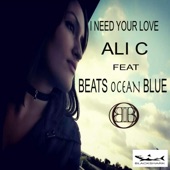 I Need Your Love (feat. Beats Ocean Blue) artwork