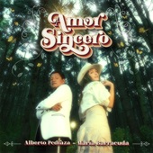 Amor Sincero artwork