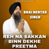 Reh Na Sakkan Binn Dekhe Preetma - Single