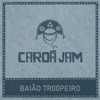 Baião Tr00peiro - Single