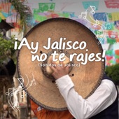 ¡Ay Jalisco, No te Rajes! artwork