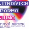 Jindrich Parma - Mozna