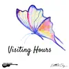 Visiting Hours (Acoustic Instrumental) - Single album lyrics, reviews, download