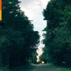 Fallen Leaves - Single