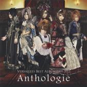 Best Album 2009-2012 Anthologie (+ 5 Live Tracks in Shibuya) artwork