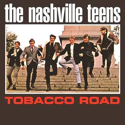 Tobacco Road - The Nashville Teens