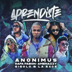 Aprendiste (feat. Amenazzy) - Single by Anonimus, Rafa Pabön & Gigolo Y La Exce album reviews, ratings, credits