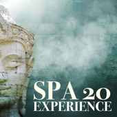 SPA EXPERIENCE 20: Momentos Especiais no Spa, Proporcionar Conforto, Desintoxicar e Revigorar artwork