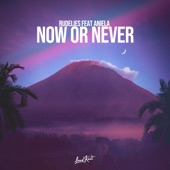 Now or Never (feat. Aniela) artwork