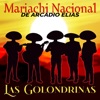 Mariachi Nacional De Arcadio Elias - Guadalajara