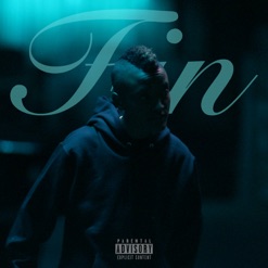 FIN cover art