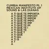 A Ti Qué Te Importa (Cumbia Manifesto Pt. 1) - Single album lyrics, reviews, download