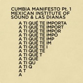 Mexican Institute of Sound - A Ti Que Te Importa