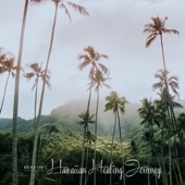 Best of Hawaiian Healing Journey Vol.2 (Remastered 2021) artwork
