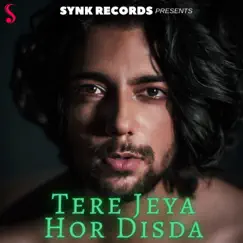 Tere Jeya Hor Disda - Single by Siddharth Slathia album reviews, ratings, credits