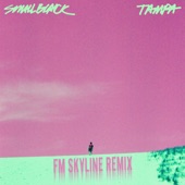 Tampa (FM Skyline Remix) [7" Version] by Small Black