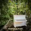Facing the Music (feat. Jon Schmidt) [Acoustic] - Single album lyrics, reviews, download