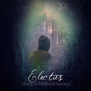 Musical Hallucinations - Electus