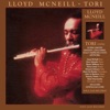 Lloyd McNeill & Marshall Hawkins - O Mercado (Brazilian Market)