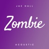 Zombie (Acoustic) - Single