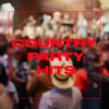 Wine, Beer, Whiskey by Little Big Town iTunes Track 14