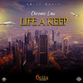 Life a Keep artwork