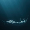 Dive Deeper - Single