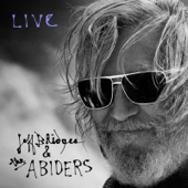 Never Let Go (Live) - Jeff Bridges & the Abiders