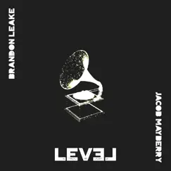 Level by Brandon Leake & Black Chakra album reviews, ratings, credits