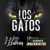 Los Gatos (feat. Marco Flores Y La Numero 1 Banda Jerez) artwork
