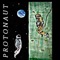 Windows - Jacob Lizotte lyrics