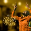 Kama Si Mkono Wako - Single