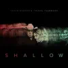 Shallow (The Duet with Garth Brooks and Trisha Yearwood) - Single album lyrics, reviews, download