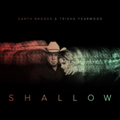 Shallow (The Duet with Garth Brooks and Trisha Yearwood) - Trisha Yearwood