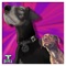 Ahh Sh!T - Zoo Trippin' lyrics