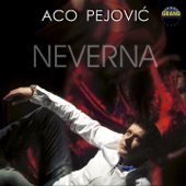 Neverna artwork