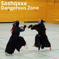 Dangerous Zone - Single by Sashqxxx album reviews, ratings, credits