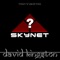 Skynet? - David Kingston lyrics