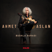 Budala Aurası - Ahmet Aslan