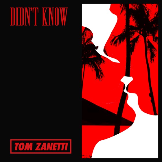Cover artwork for Didn't Know