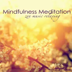 Mindfulness Meditation - Zen Music Relaxing by Mindfulness album reviews, ratings, credits
