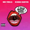 Said What I Said (feat. Kiara Carter) - Single album lyrics, reviews, download